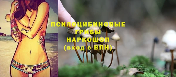 таблы Алзамай
