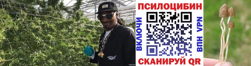 Галлюциногенные грибы MAGIC MUSHROOMS Удачный